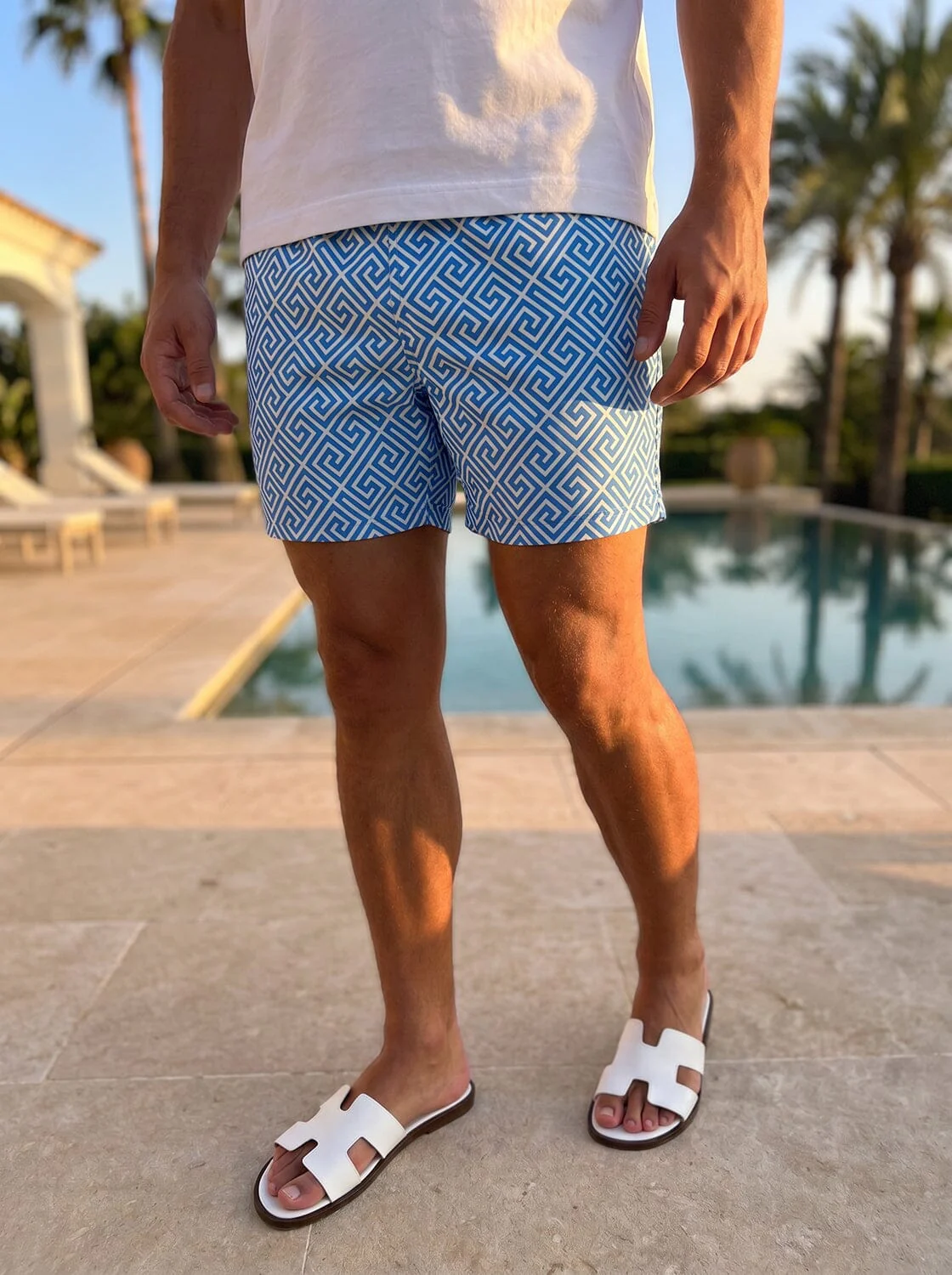 Aegea Swim Shorts